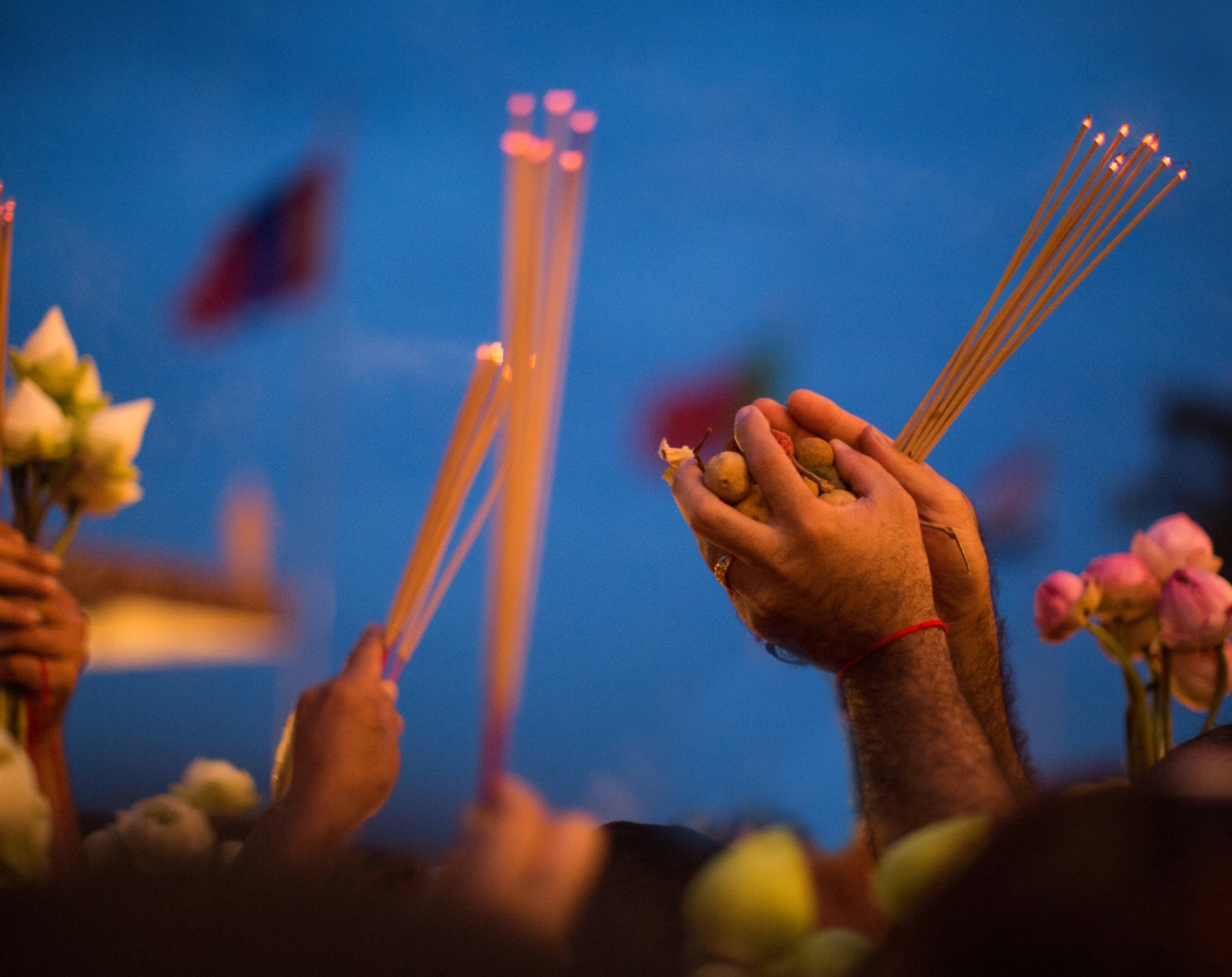 New Project - 2025-08-19T155828.989